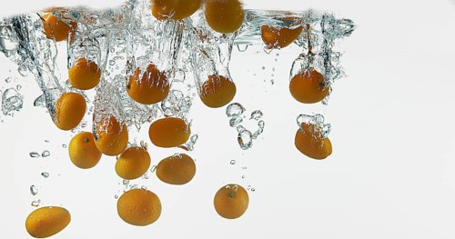 Kumquat (fortunella margarita), Fruits falling into Water against White Background