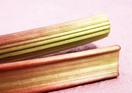 Rhubarb (Rheum rhabarbarum), Vegetable rhubarb, Rhubarb, Knotweed, Rhubarb