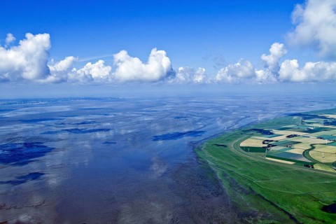 Elbe estuary, North Sea coast, near Neufelderkoog, Dithmarschen, Schleswig-Holstein, Germany,
