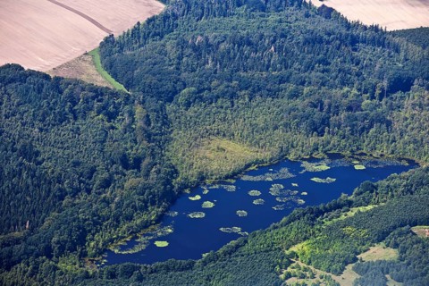 Lake, Schaalsee nature Park, Rosenhagen, Schleswig-Holstein, Germany, Europe
