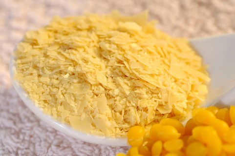 Carnauba wax (Copernicia cerifera), Cera carnauba