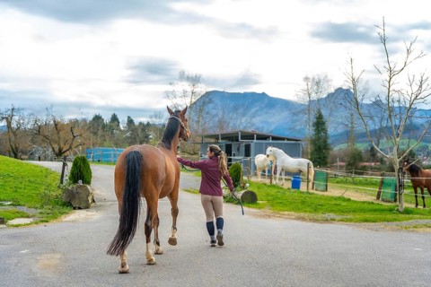 Young female horse trainer preparing her horse for riding outside the horse stable
