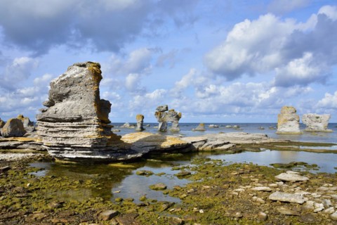 Gamla hamn in sweden on the island gotland in fall. Gamle hamn on the island of Farö on Gotland in