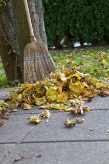 Raking autumn leaves in the garden