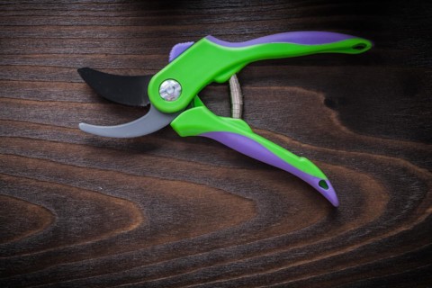 Garden shears on vintage wood background close up agriculture concept