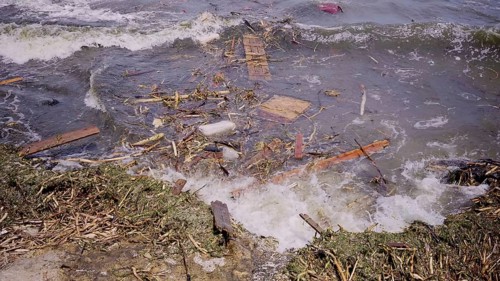Close-up of floating debris has reached Black Sea beaches in Odessa, Ukraine. Environmental