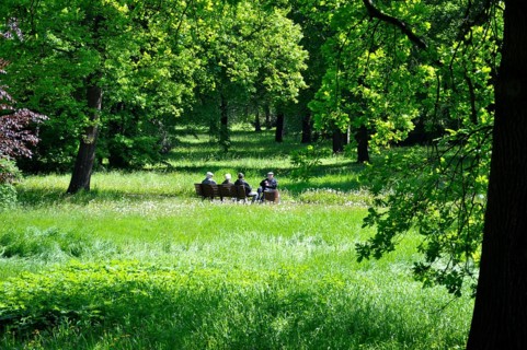 Herrenkrugpark, Nordpark in Magdeburg, old people on a park bench