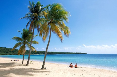 Beach on the island of Vieques, Puerto Rico, Caribbean, North America
