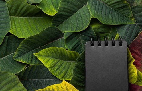 Flat lay composition leaves with black notepad