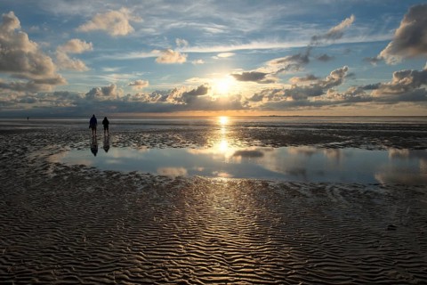 Evening atmosphere, Wadden Sea, people walking at sunset, Neuwerk Island behind, Hamburg Wadden Sea