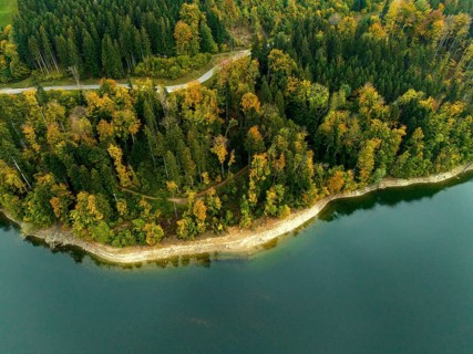 Colourful trees in autumn on the shore, Lac de Gruyère, Lake Gruyère, reservoir, aerial view,