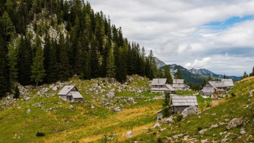 Log cabins in the mountains of the Slovenian Alps on the peak Planina Blato on sunny day with