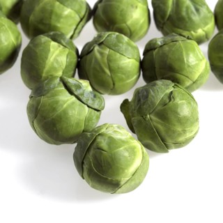 Brussels Sprouts (brassica) oleracea, Vegetables against White Background