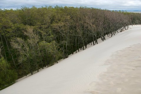 Travelling Dune, Slowinski, Slowinski National Park, Leba, Pomerania, Poland, Europe