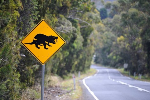 Traffic Sign Bag Devil, Tasmania, Tasmanian Devil, Australia, Oceania