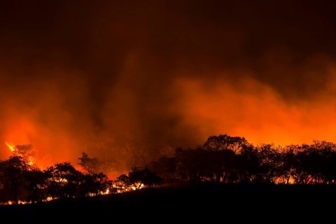Bushfire, KwaZulu-Natal, South Africa, Fire, Africa