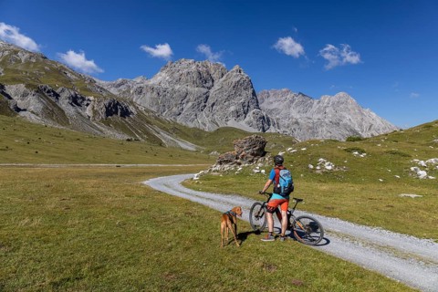 Mountain biker with Vizsla in Val Mora near Döss Radond, behind Piz Murtaröl and Pala Gronda,
