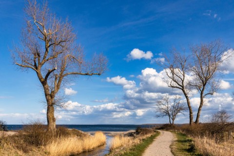 Beach Boltenhagen Baltic Sea