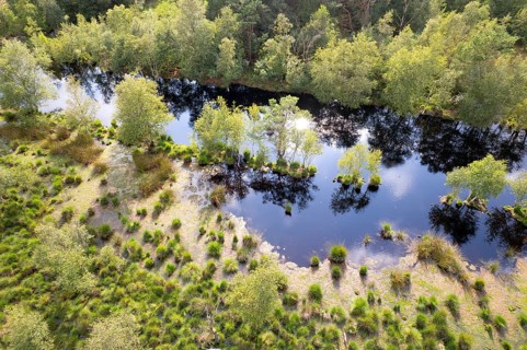 Bockholter Dose drone image, rewetted bog area, Bockholter Dose nature reserve, Emsland, Germany,