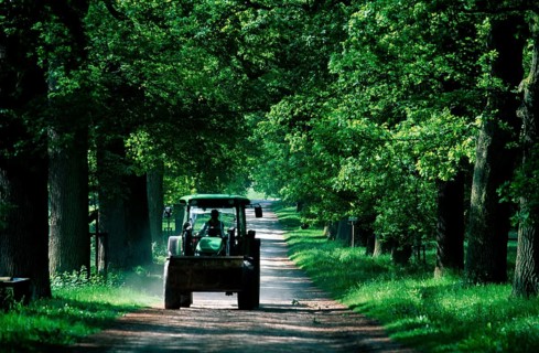 Tractor in Chestnut Tree Avenue, tractor in chestnut avenue, summer, boulevard, landscape,