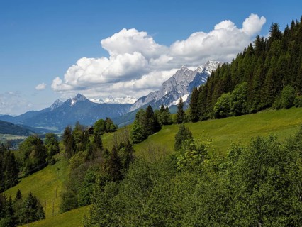 Wooded landscape, view of the Enns Valley, with the Grimming and Dachstein glaciers in the