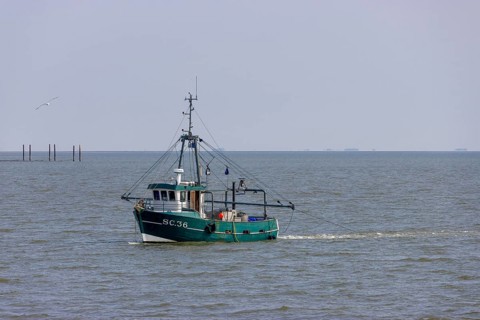 Fishing boat trawls the North Sea for shrimp, Büsum, Helgoland, Schleswig-Holstein, Germany, Europe