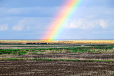 Rainbow, a view of the landscape in the field. Formation of the rainbow after the rain. Refraction