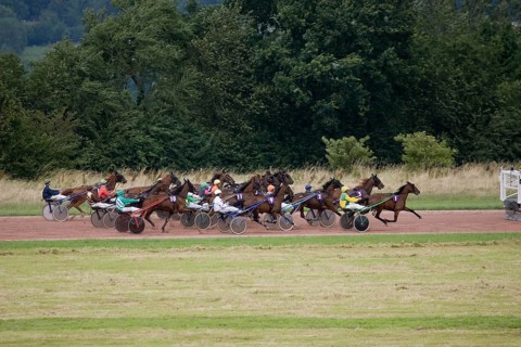 Horse Racing, French Trotter, Racecourse of Lisieux in Normandy