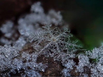 Macro image of a single snowflake, surrounded by small ice crystals, shows the filigree and