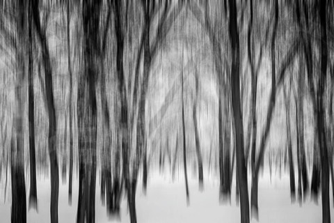 Motion blur effect of trees in a forest under the snow in winter