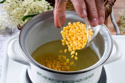 Elder (Sambucus nigra), production of elderberry ointment, adding beeswax, pot, cooking pot, stove,