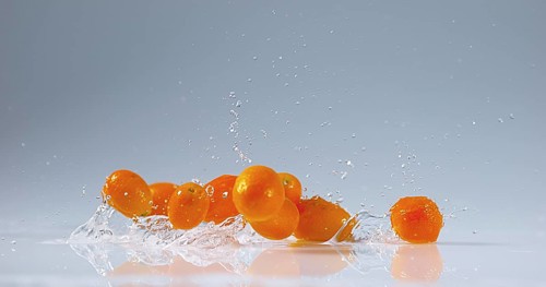 Kumquat (fortunella margarita), Fruits falling on Water