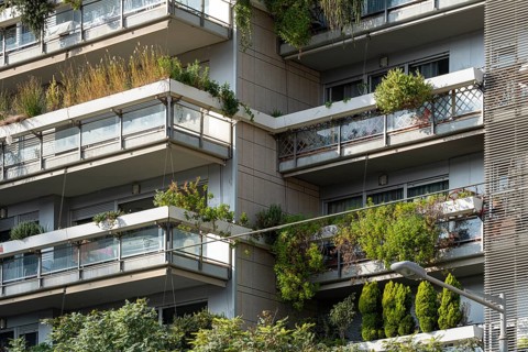 Barcelona's Eco-Friendly Marvel: Multilevel apartment building adorned with lush balconies, a green