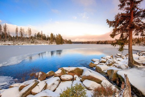 Winter Landscape Harz National Park Oderteich