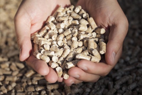 Alternative fuel: Pellets made from industrial wood waste. Short depth-of-field