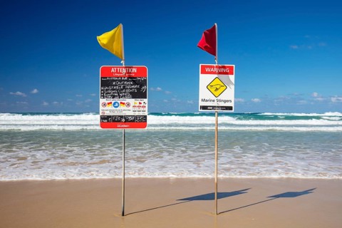 Surf lifesaving flags on a hot sunny day in Broadbeach, Gold Coast, Queensland, Australia, Oceania