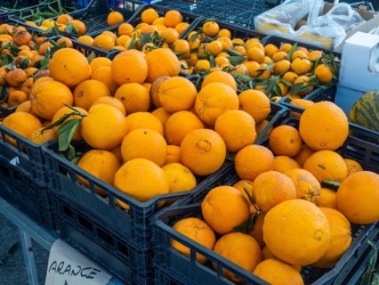 Fresh oranges, farmers' market in Maddalena, Isola La Maddalena, Sardinia, Italy, Europe