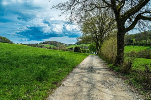 A picturesque country path leads through a green meadow landscape under a cloudy blue sky,