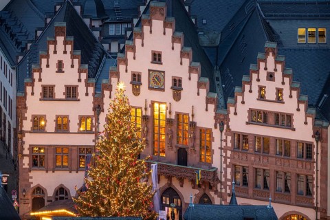 Christmas tree Sonny lights up on the Römerberg in Frankfurt am Main in front of the town hall,