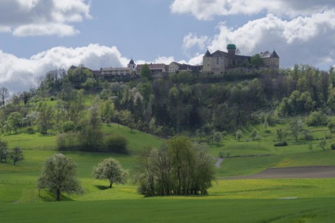 View of the old town and the castle, Waldenburg, Waldenburg mountains, spring, April, Hohenlohe,