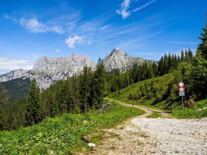 Forest road, behind Admonter Reichenstein, Ennstal Alps, Styria, Austria, Europe