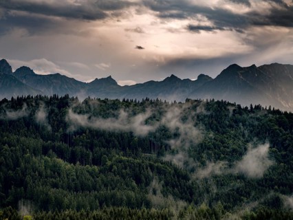 Forest with Alpine panorama near Roßhaupten in the Swabian district of Ostallgäu, Allgäu, Bavaria,
