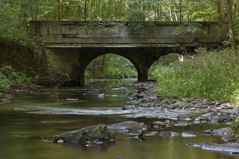 The Selke in the Harz Mountains a natural river