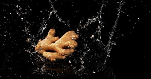 Ginger (Zingiber officinale), Root Falling in Water on Black Background