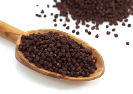 Grains of Paradise, Melegueta pepper, Guinea pepper, Ginger family, SPOON WITH GRAINS OF PARADISE