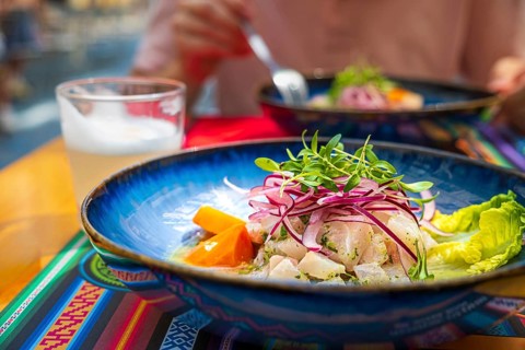 Fresh ceviche served in blue plate over placemat with traditional patterns, Pisco Sour cocktail.