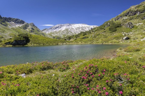 One of the Giglachseen lakes in Styria, Austria, in summer, Europe