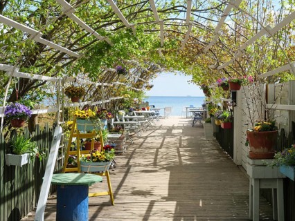 A blooming garden terrace with a view of the sea on a sunny day, sopot, baltic sea, poland