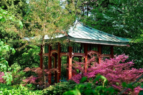 Asian Pavilion, Botanical Garden, Dahlem, Berlin, Germany, Europe