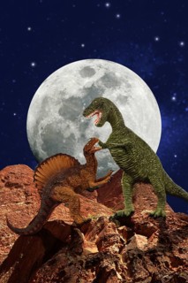 Tyrannosaurus, Tyrannosaurus rex and Spinosaurus, a large carnivorous theropod from the late